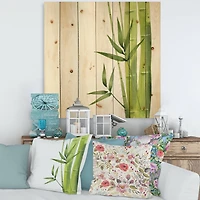 Designart - Bamboo Branches In The Forest V