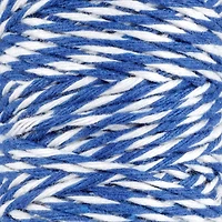 25yd. Rainbow Twine Assortment by Recollections™