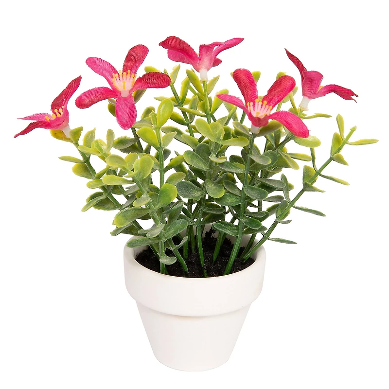 Assorted Micro Premade Flowering Plant, 1pc. by Ashland®