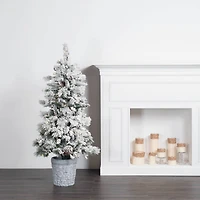 5ft. Pre-Lit Flocked Ashton Pine Artificial Christmas Tree in Planter, Warm White Lights