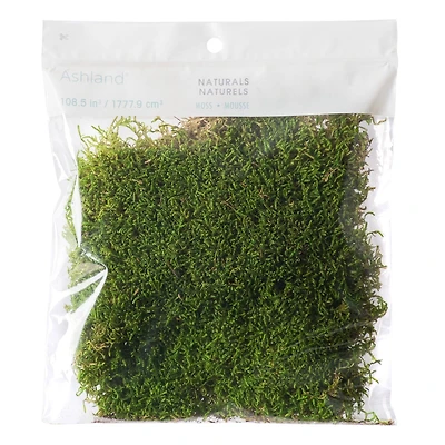 12 Pack: Forest Green Preserved Moss by Ashland®