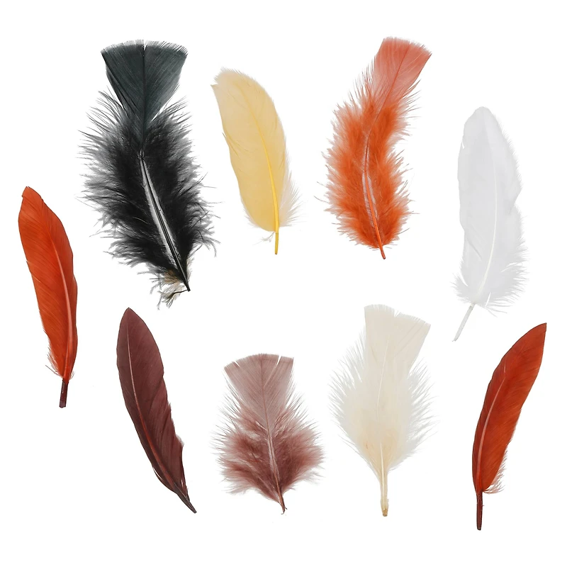 Neutral Feathers Value Pack by Creatology™