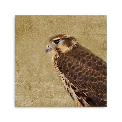 Falcon II Canvas Giclee