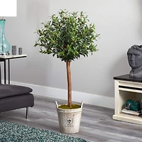 4.5ft. Olive Topiary Tree with Farmhouse Barrel Planter