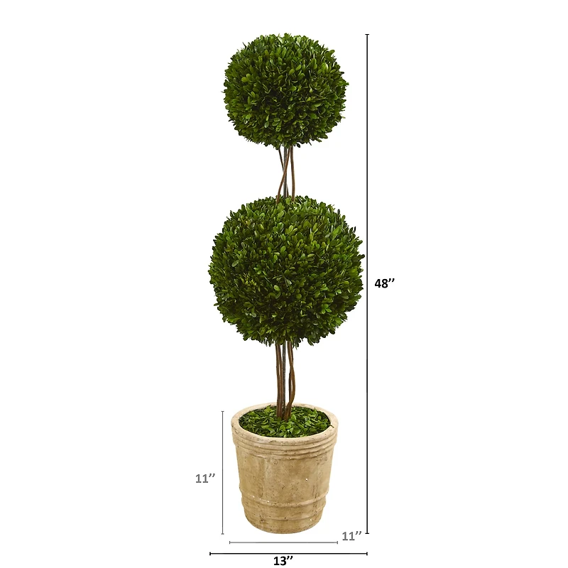 4ft. Boxwood Double Ball Topiary Tree in Planter
