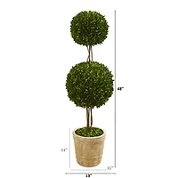 4ft. Boxwood Double Ball Topiary Tree in Planter