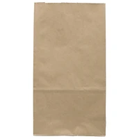 JAM Paper Brown Kraft Lunch Bags