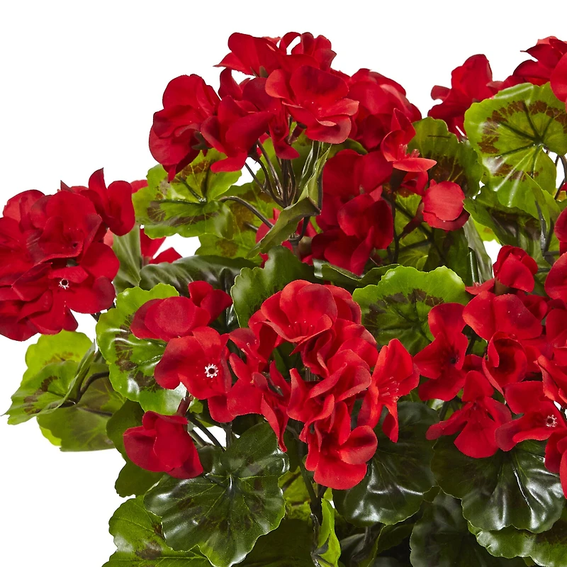 13" Red Geranium in Rectangular Planter