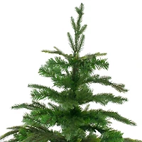 7.5ft. Unlit Roosevelt Fir Artificial Christmas Tree