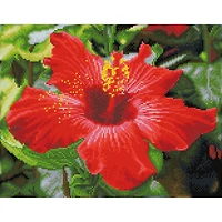 Diamond Dotz® Intermediate Hibiscus in Bloom Diamond Painting Kit