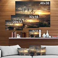 Designart - Grassy and beach sunset