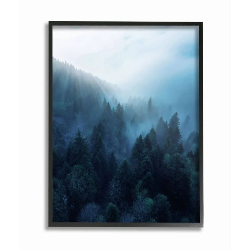 Stupell Industries Daylight over Pine Forest Mountain with Fog Framed Wall Art