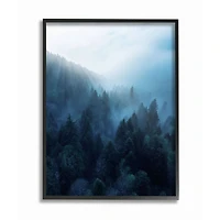 Stupell Industries Daylight over Pine Forest Mountain with Fog Framed Wall Art