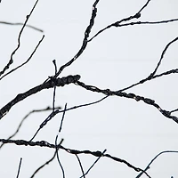 8ft. Pre-Lit Halloween Black Twig Artificial Tree with 510 Orange & Purple LED Lights