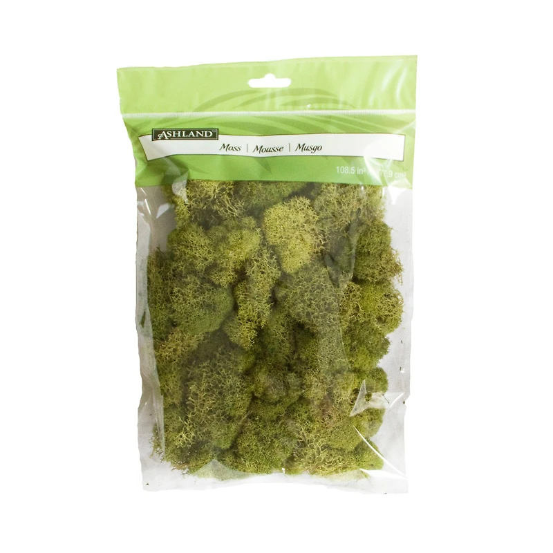 12 Pack: Spring Green Reindeer Moss by Ashland®