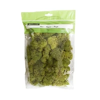 12 Pack: Spring Green Reindeer Moss by Ashland®