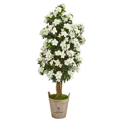 5ft. Azalea Tree in Farmhouse Planter