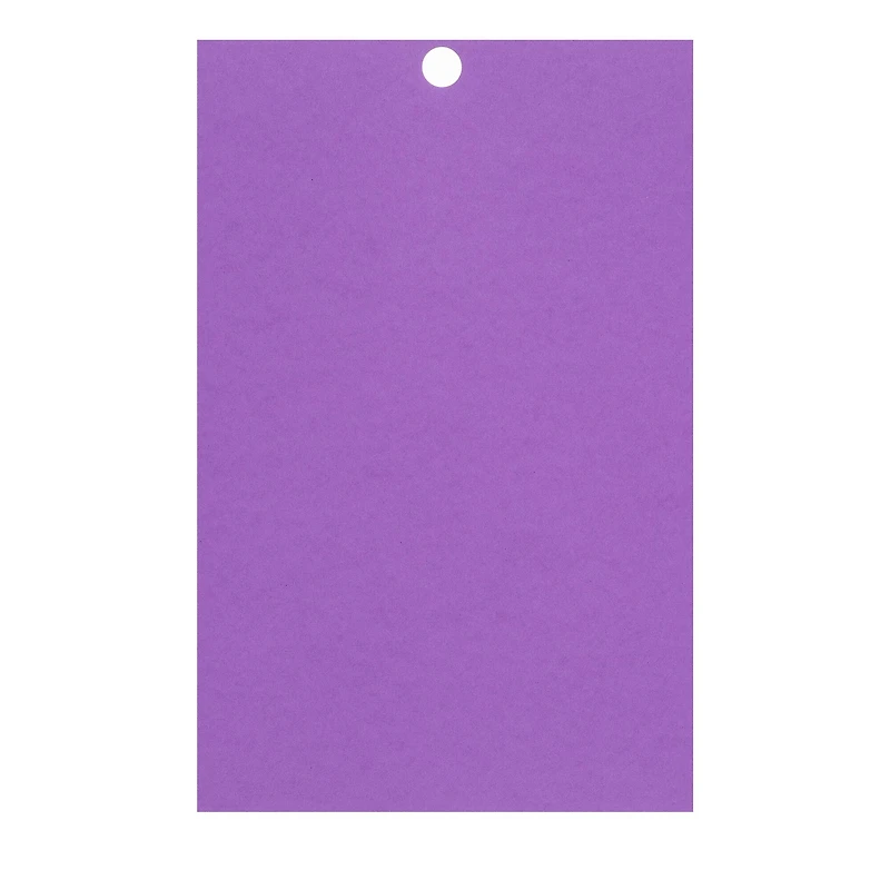 Purple Passion 4.5" x 7" Cardstock Paper by Recollections™, 100 Sheets
