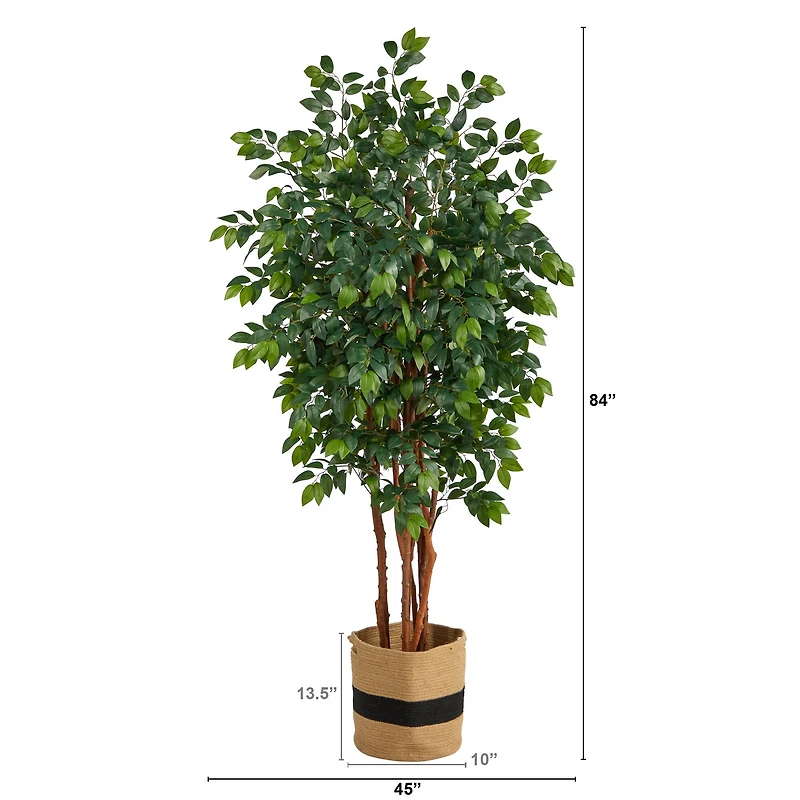 7ft. Sakaki Artificial Tree in Handmade Natural Cotton Planter