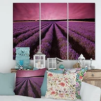 Designart - Sunrise & Dramatic Clouds Over Lavender Field XI