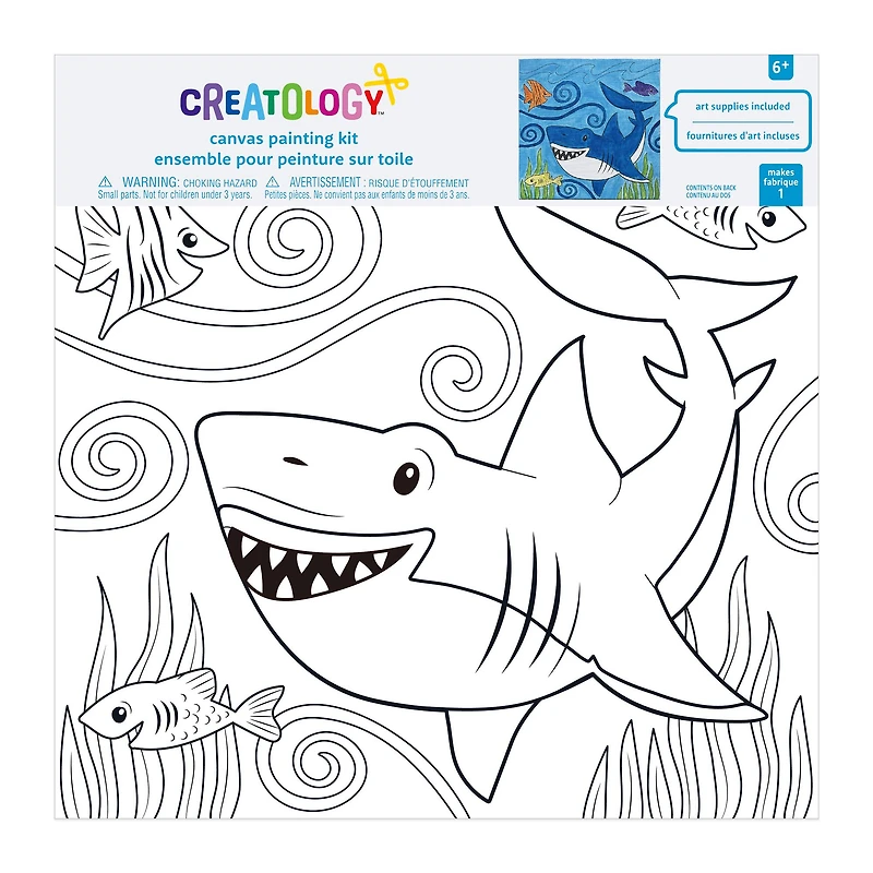 Assorted Canvas Paint Set by Creatology™