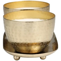 10oz. Roses in Paradise Scented Candles in Gold Bowls with Tray