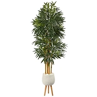 74" Phoenix Palm Tree in White Planter with Stand