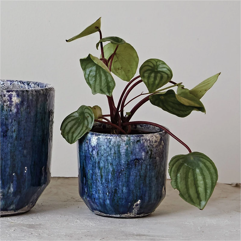 Hello Honey® 5.25" Blue Crackle Glaze Decorative Terra Cotta Planter