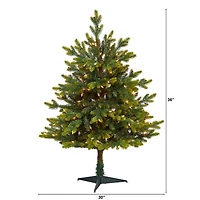 3ft. Pre-Lit North Carolina Fir Artificial Christmas Tree with Clear LED Lights