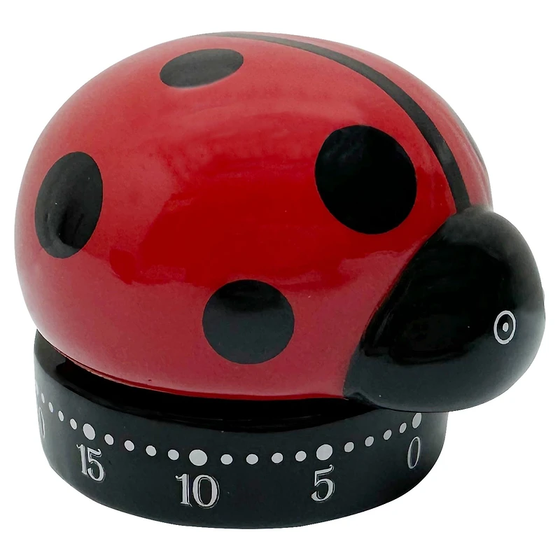 Ceramic Ladybug Timer by Ashland®
