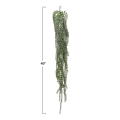 Hello Honey® Hello Honey Green String of Pearls Plant