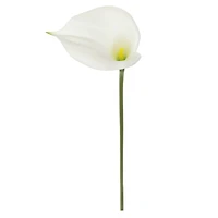 White Calla Lily Stem by Ashland®