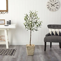 4.5ft. Olive Artificial Tree in Country White Planter