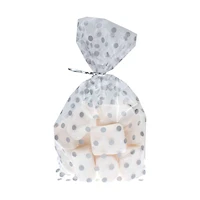 Silver & Clear Cello Bag Kit By Celebrate It®