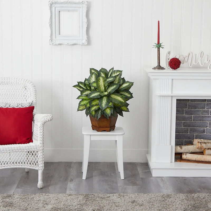 24" Golden Dieffenbachia Plant in Decorative Pot