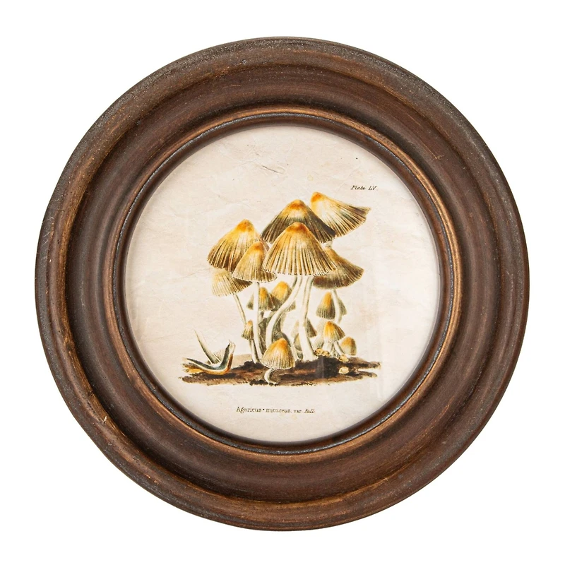 Hello Honey® 9.5" Round Framed Mushroom Print Wall Art Set