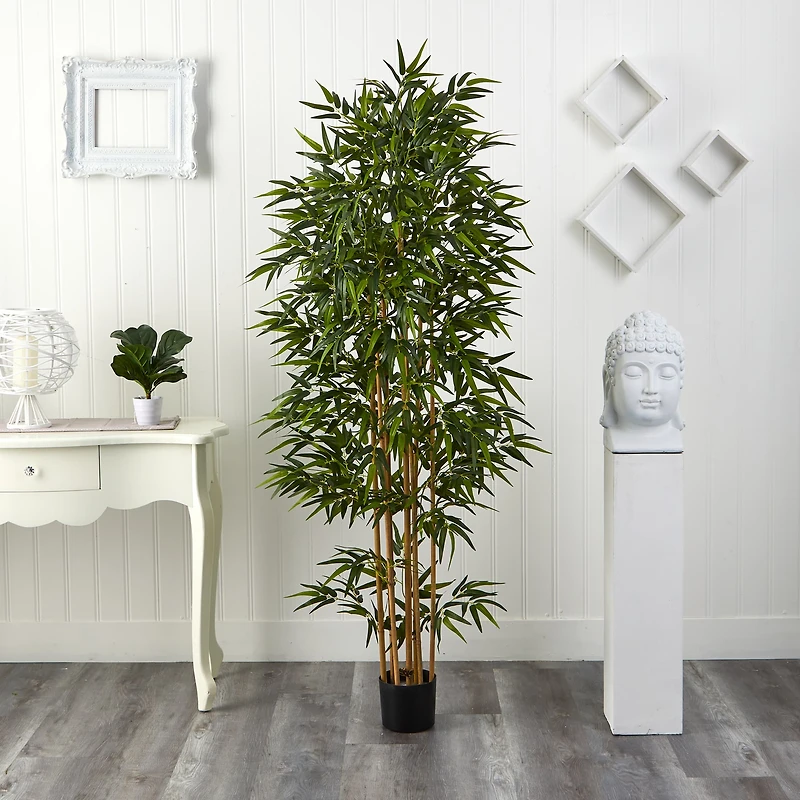 6ft. Potted Bamboo Silk Tree