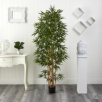 6ft. Potted Bamboo Silk Tree