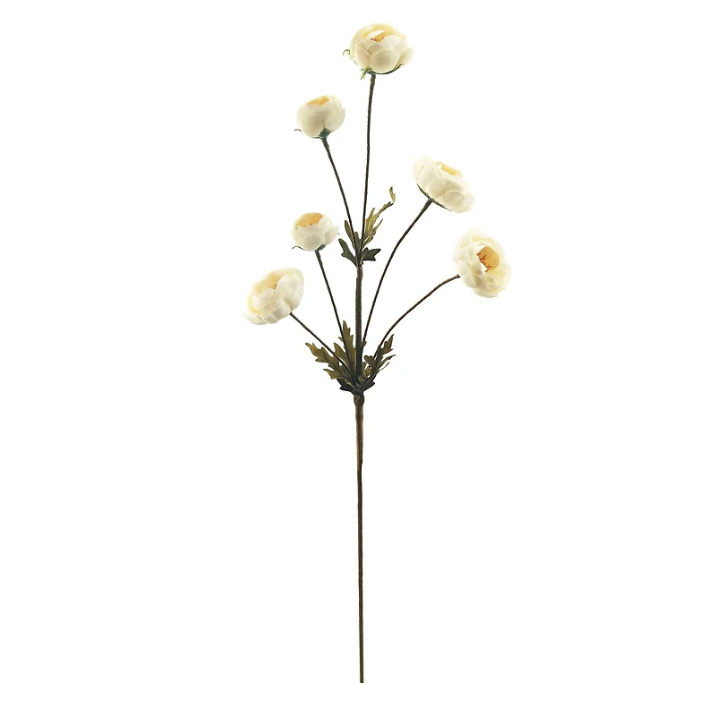 32" Ranunculus Stem by Ashland