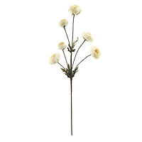 32" Ranunculus Stem by Ashland