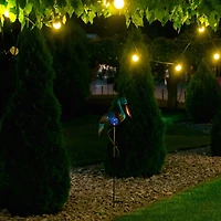 3ft. Solar Lighted Pelican Outdoor Garden Stake