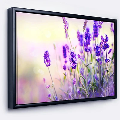 Designart - Purple Lavender Field