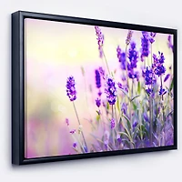 Designart - Purple Lavender Field
