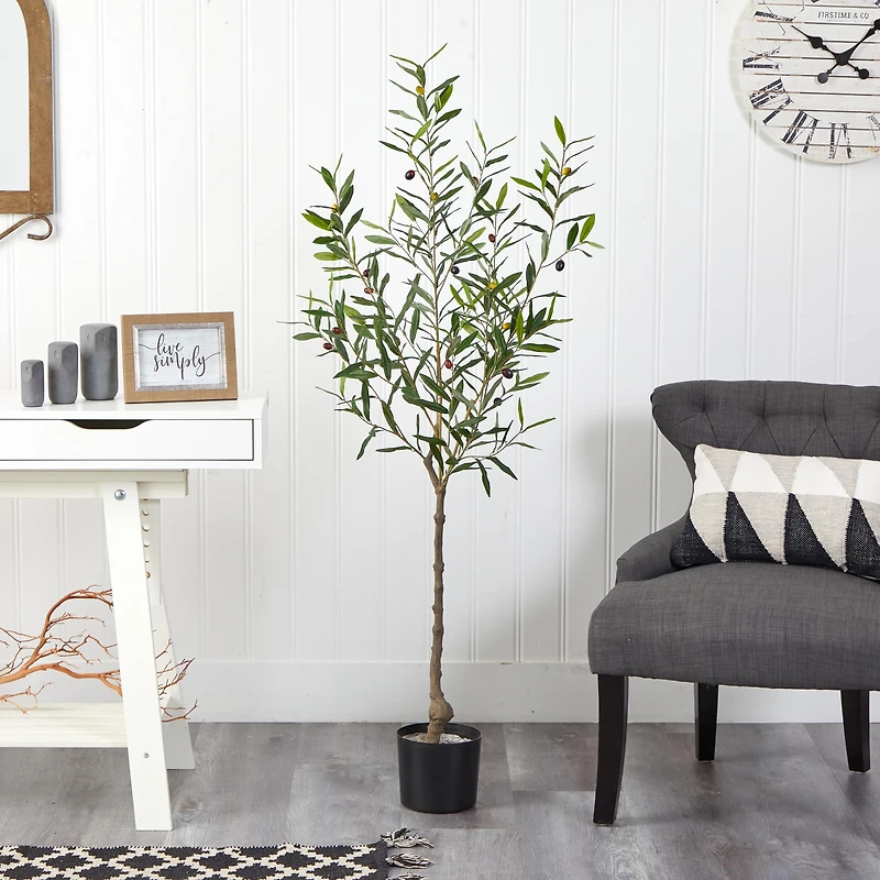 5ft. Potted Olive Tree