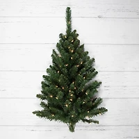 3ft. Pre-Lit Buffalo Fir Artificial Christmas Wall or Door Tree, Clear Dura Lights