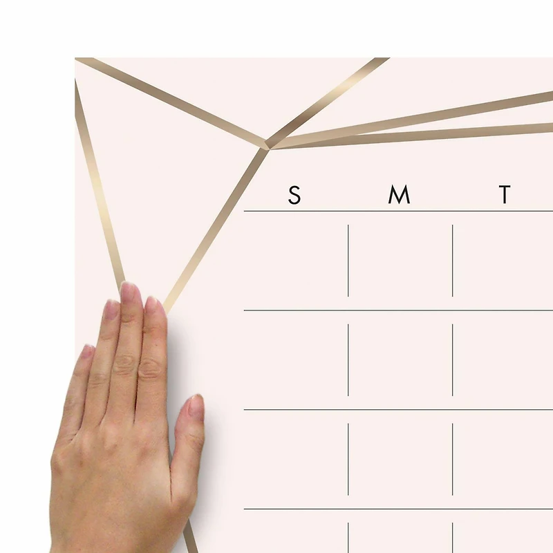 RoomMates Blush Beauty Dry Erase Calendar Peel & Stick Wall Decal