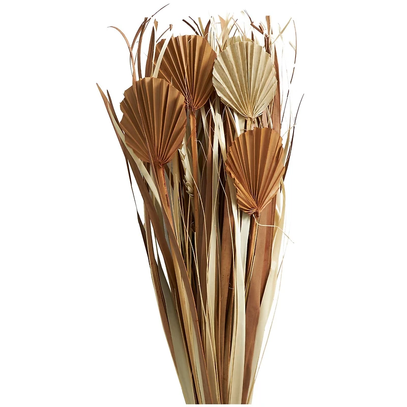 Beige & Tan Dried Grass & Fan Palm Bundle