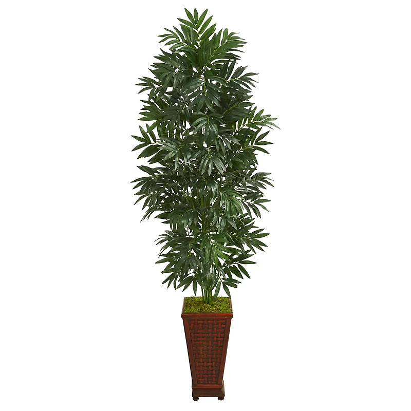 5.5ft. Bamboo Palm Plant in Decorative Planter