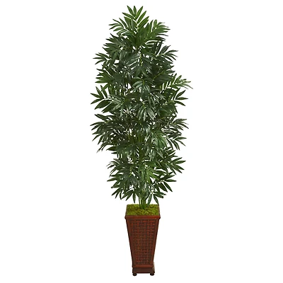 5.5ft. Bamboo Palm Plant in Decorative Planter