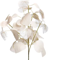 27.5" Cream Eucalyptus Stem by Ashland®